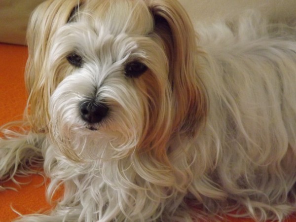 Sheela meine Fruendin